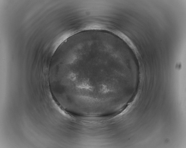 X0000091951337200709061232
