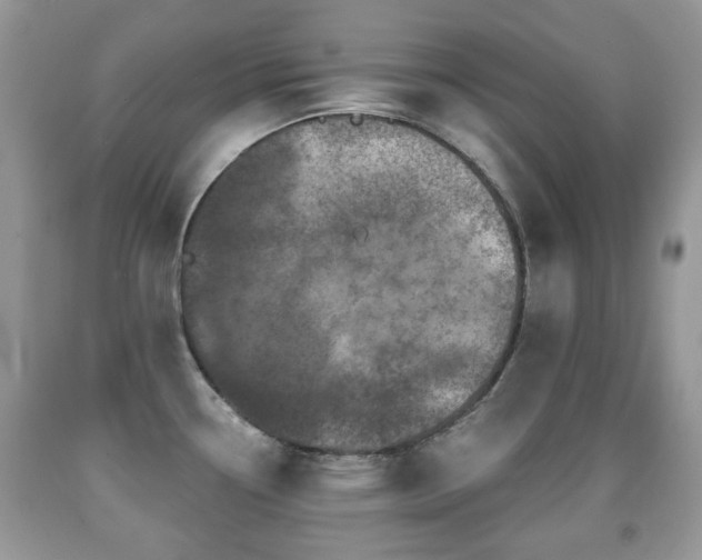 X0000091951338200709061232