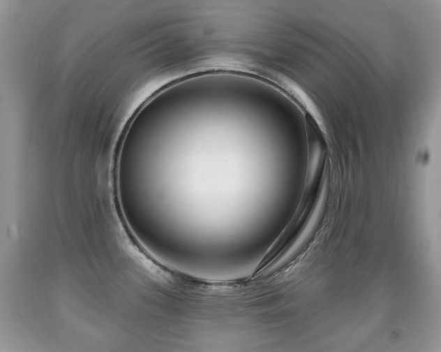 X0000091951339200709061232