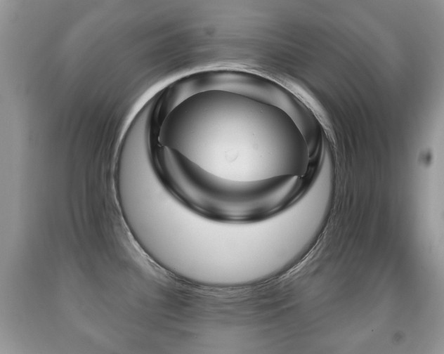 X0000091951340200709061232
