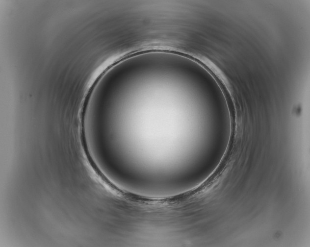 X0000091951341200709061232