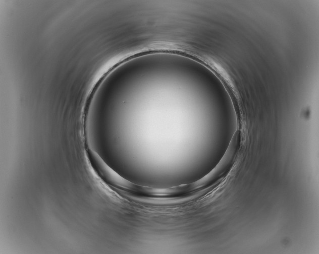 X0000091951342200709061232