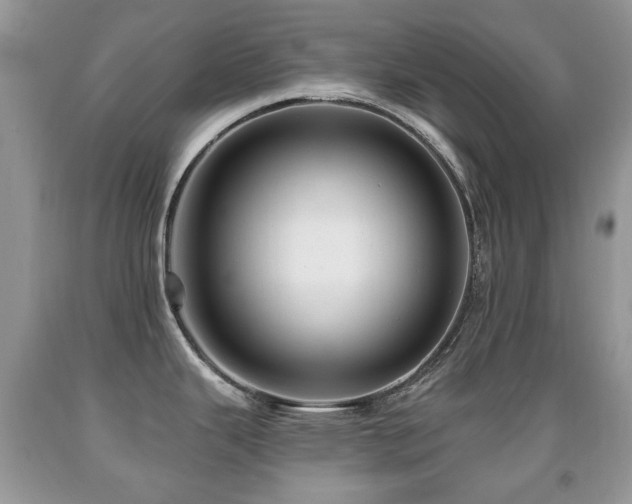X0000091951343200709061232
