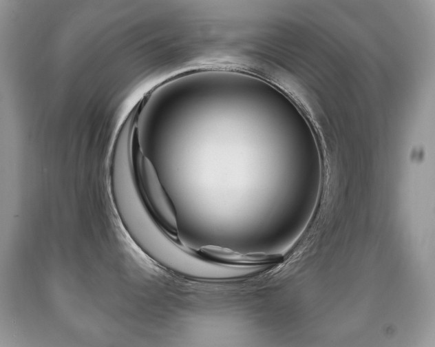 X0000091951344200709061232