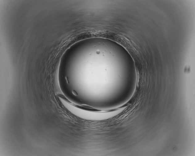 X0000091951345200709061232