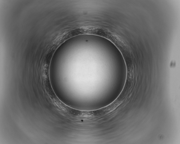 X0000091951346200709061232