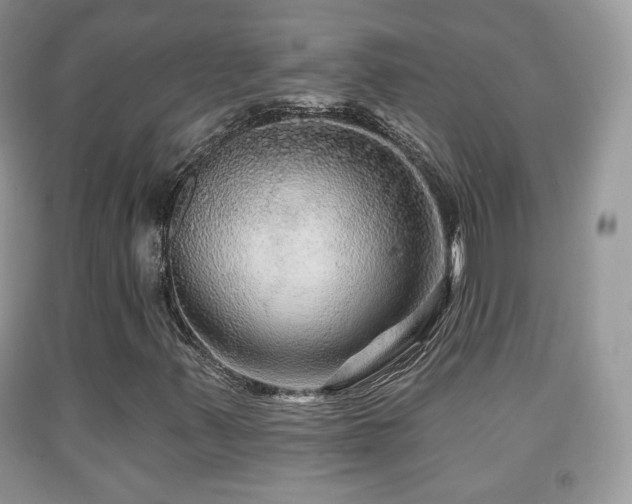 X0000091951347200709061232