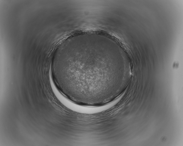X0000091951348200709061232