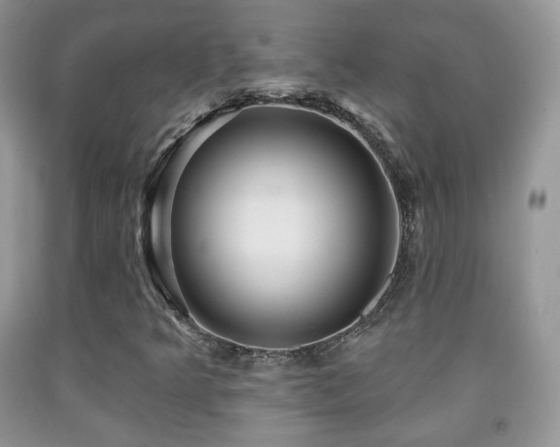 X0000091951349200709061232