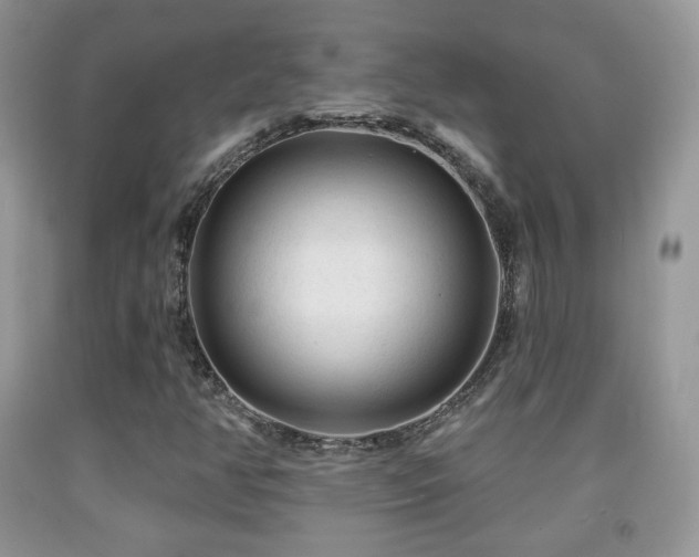 X0000091951350200709061232