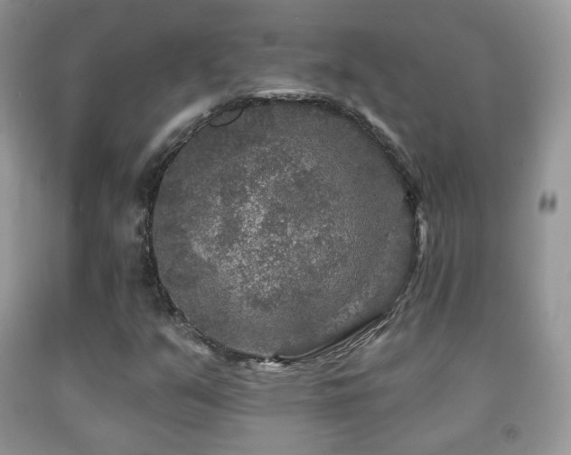 X0000091951351200709061232