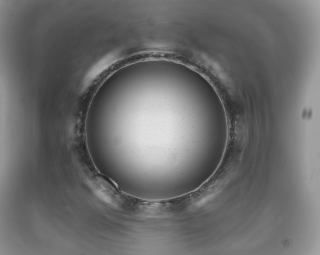 X0000091951352200709061232
