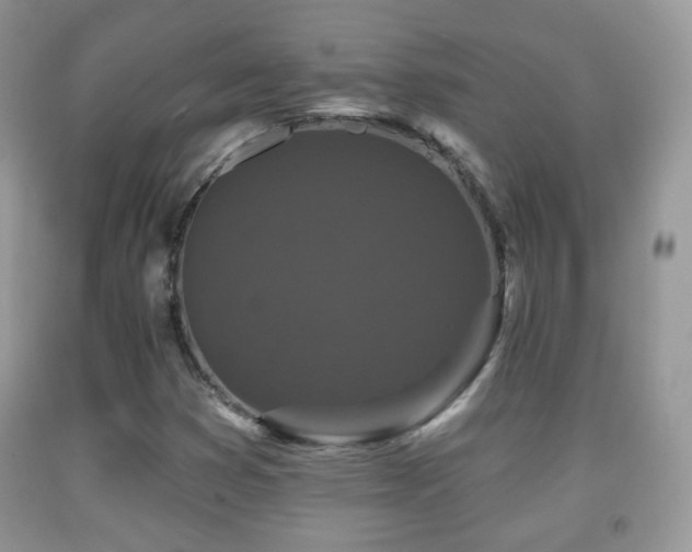 X0000091951353200709061232