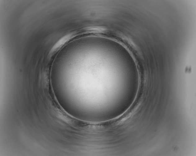 X0000091951354200709061232