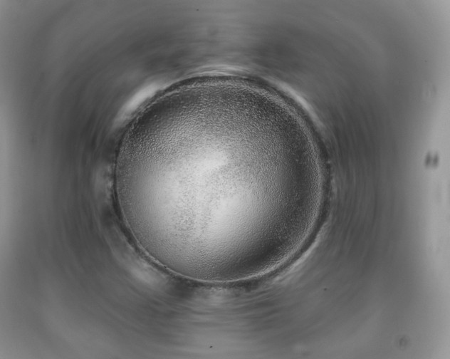 X0000091951355200709061232