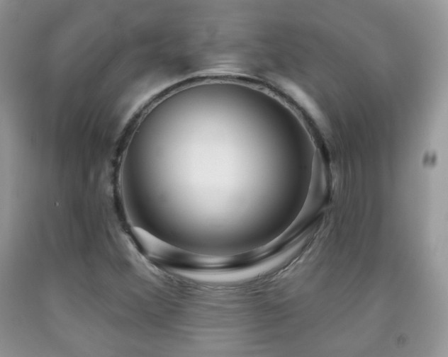 X0000091951356200709061232