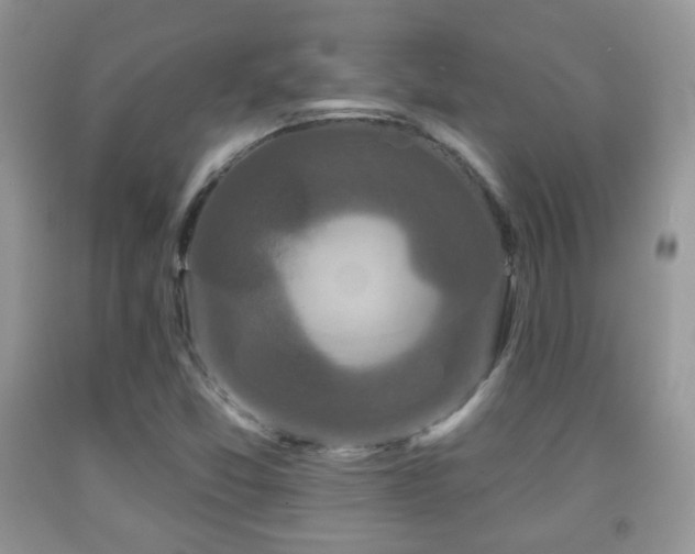X0000091951357200709061232