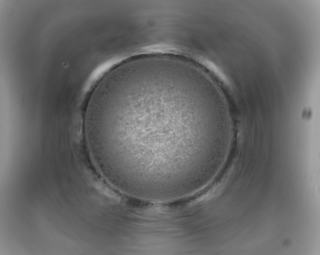 X0000091951358200709061232