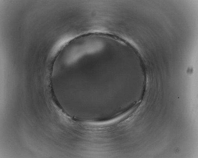 X0000091951359200709061232
