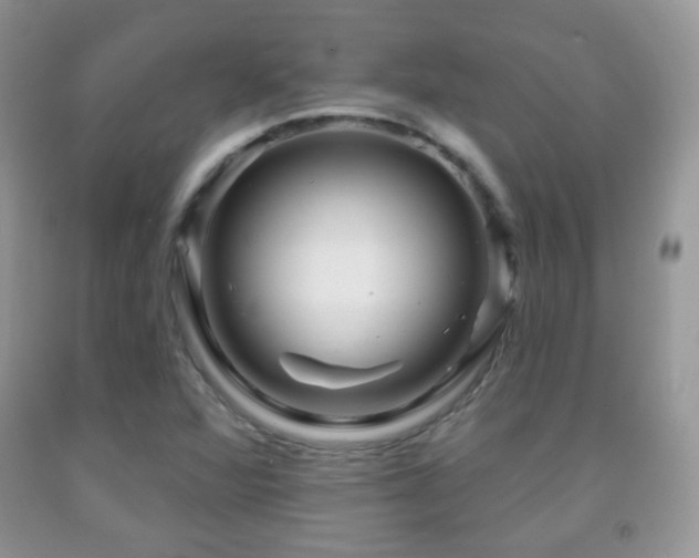 X0000091951360200709061232
