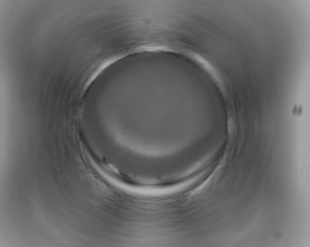 X0000091951361200709061232