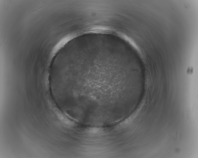X0000091951362200709061232