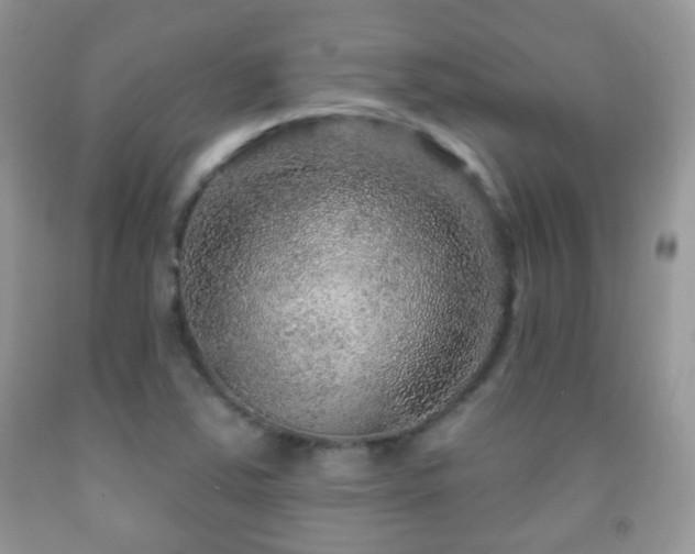 X0000091951363200709061232