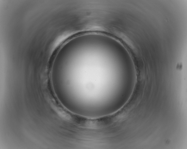 X0000091951364200709061232