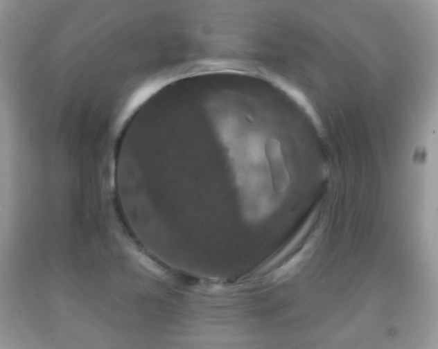 X0000091951365200709061232