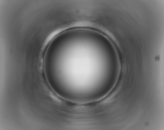 X0000091951366200709061232