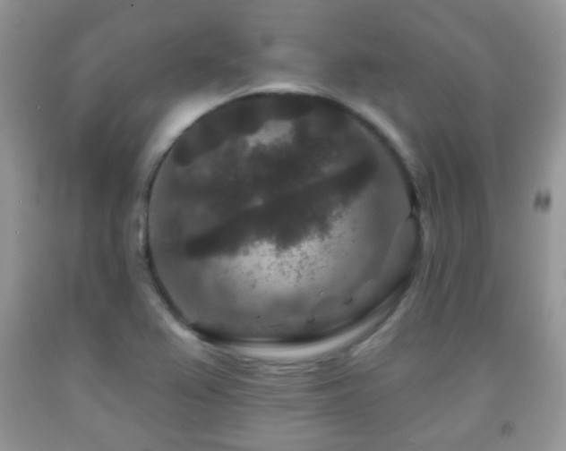 X0000091951367200709061232