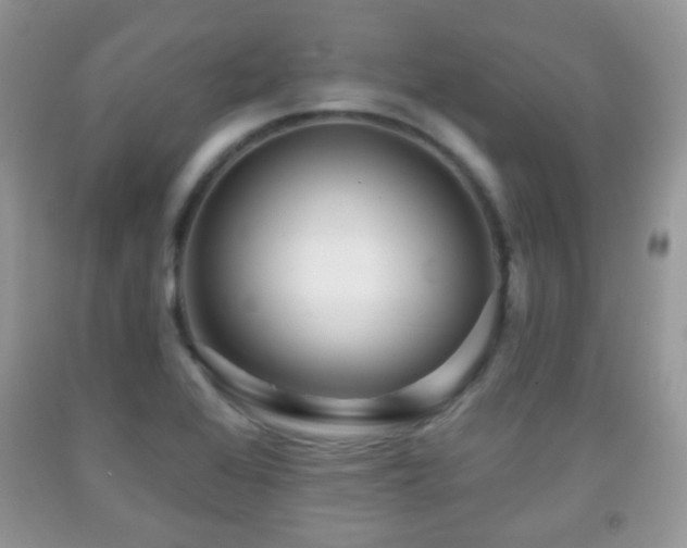X0000091951368200709061232