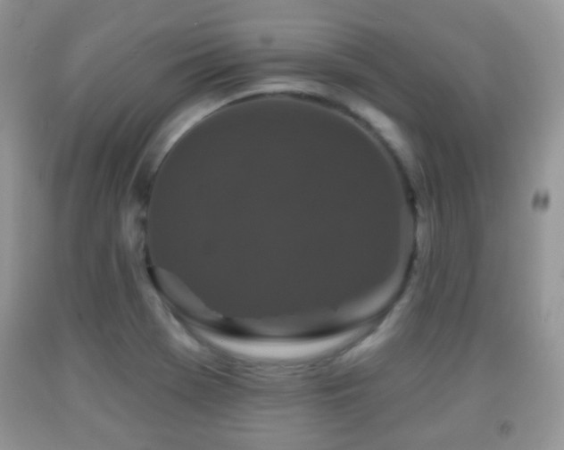 X0000091951369200709061232