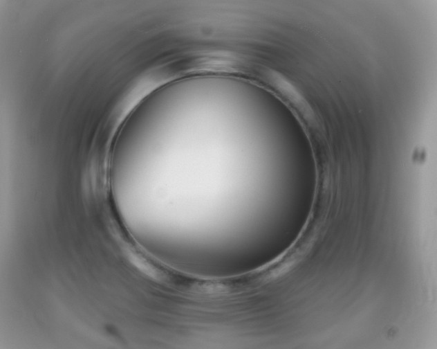 X0000091951370200709061232