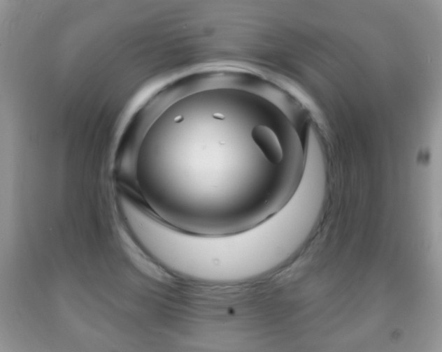 X0000091951372200709061231