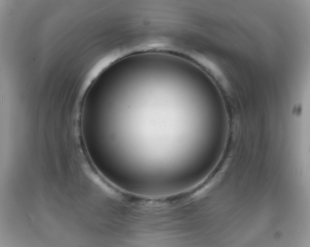 X0000091951374200709061231