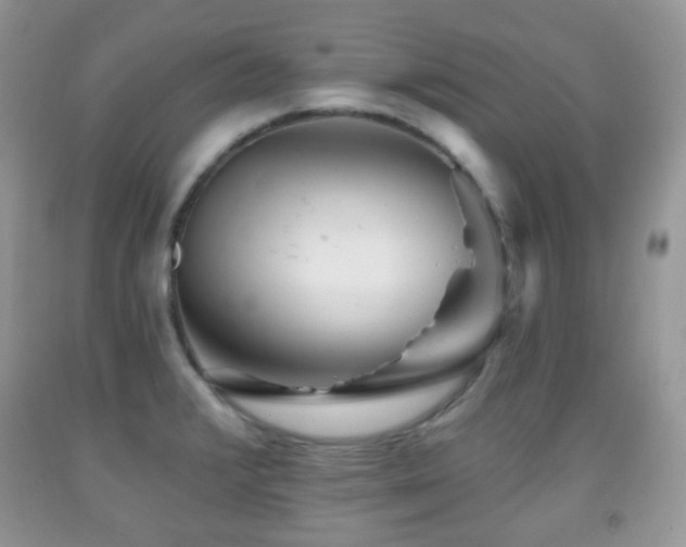 X0000091951376200709061231