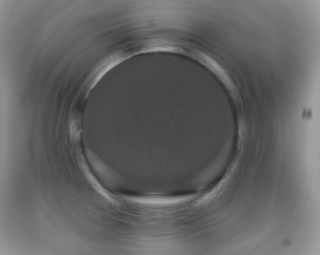 X0000091951377200709061231