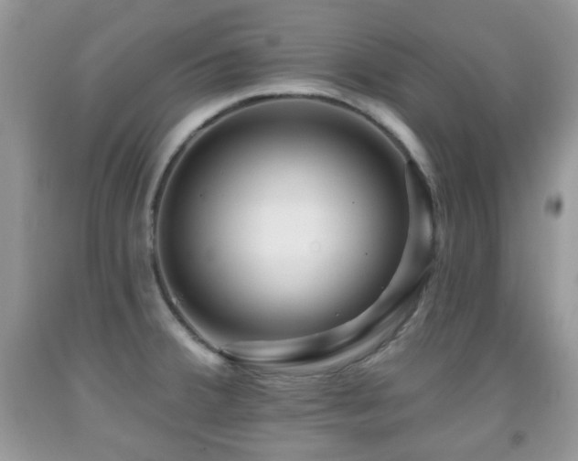X0000091951380200709061231