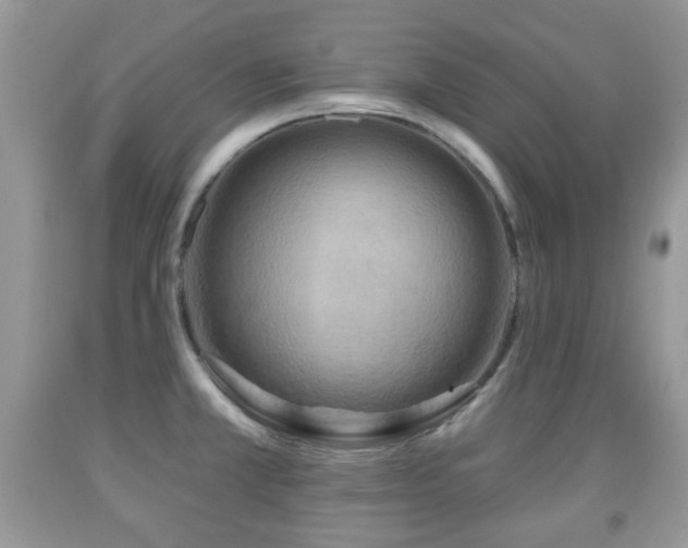 X0000091951381200709061231