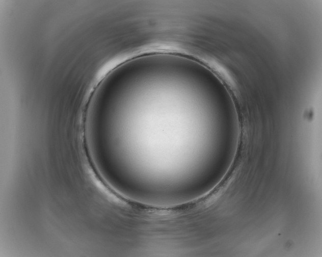 X0000091951382200709061231