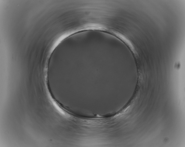 X0000091951383200709061231