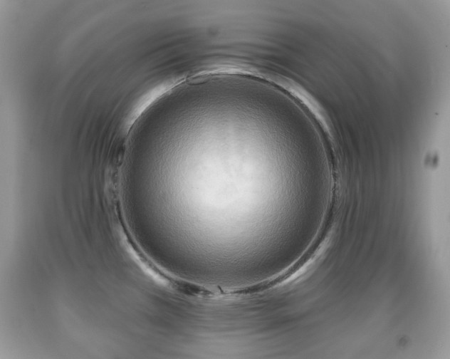 X0000091951385200709061231