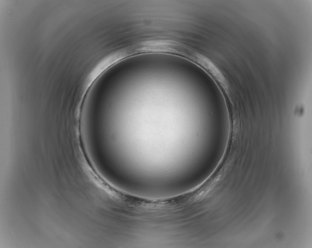 X0000091951386200709061231