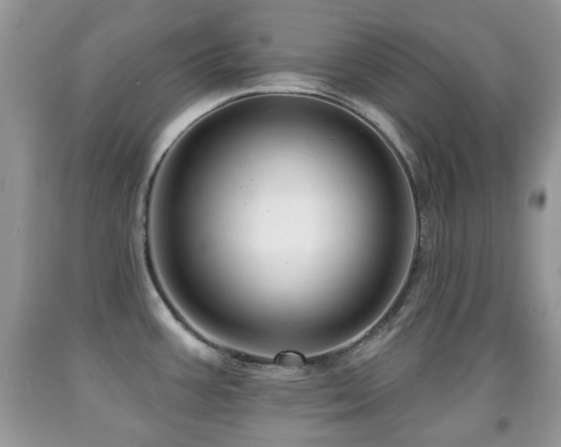 X0000091951387200709061231