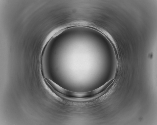 X0000091951389200709061231