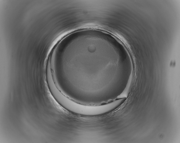 X0000091951392200709061231