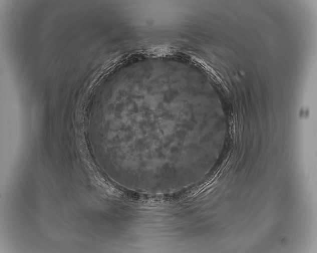 X0000091951393200709061230