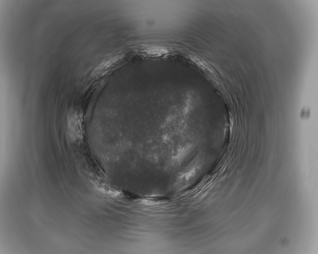 X0000091951394200709061230