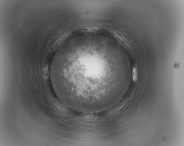 X0000091951395200709061230